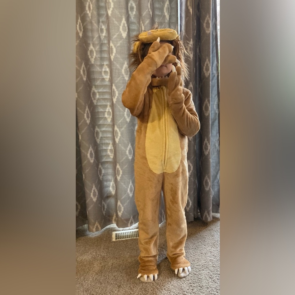 Children’s lion costume